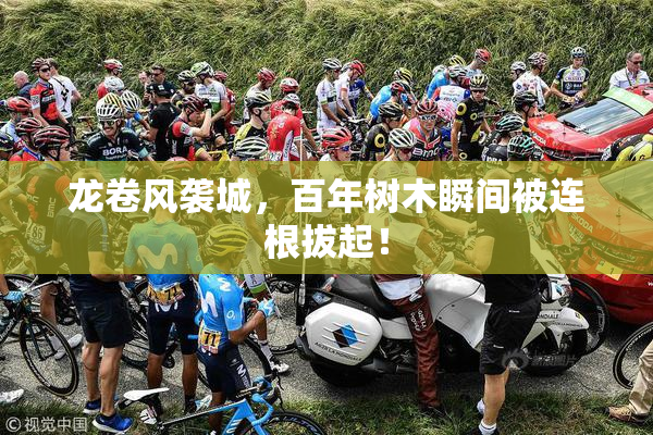 龙卷风袭城，百年树木瞬间被连根拔起！