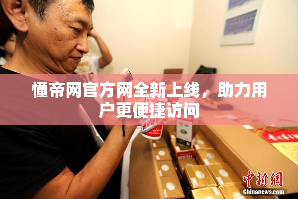 懂帝网官方网全新上线，助力用户更便捷访问