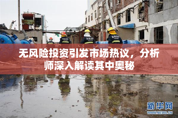 无风险投资引发市场热议，分析师深入解读其中奥秘