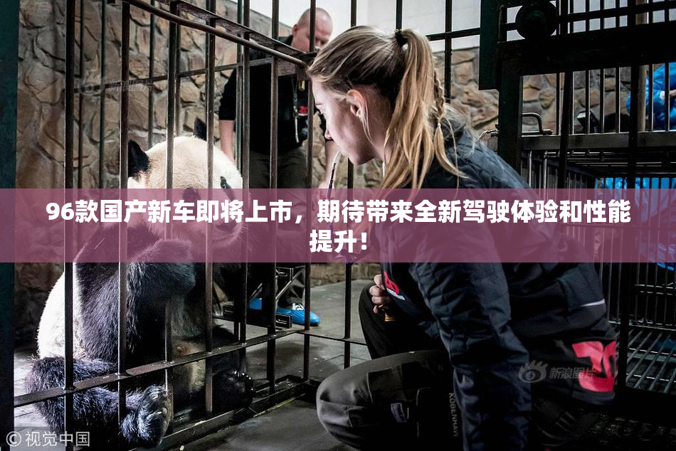 96款国产新车即将上市，期待带来全新驾驶体验和性能提升！
