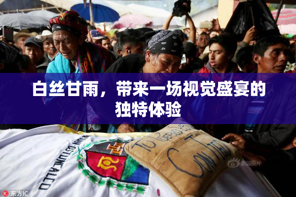 白丝甘雨，带来一场视觉盛宴的独特体验