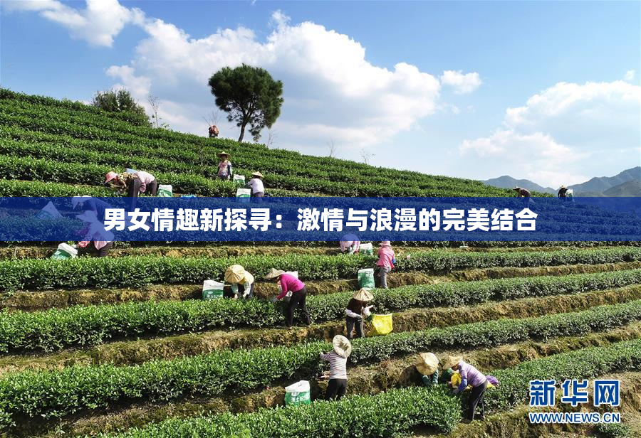 男女情趣新探寻：激情与浪漫的完美结合