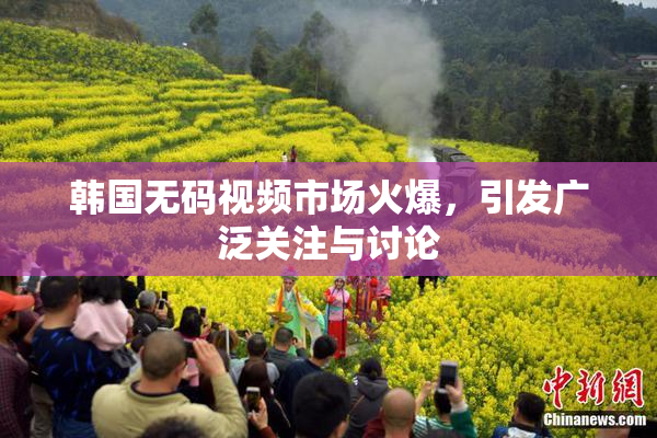 韩国无码视频市场火爆，引发广泛关注与讨论