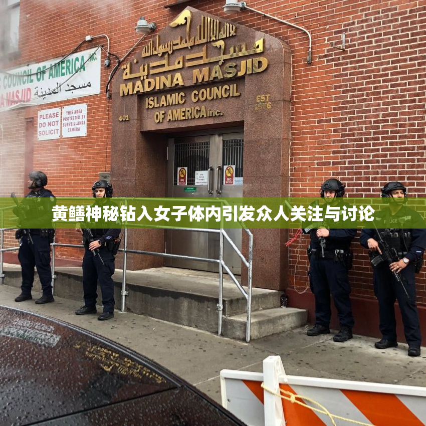 黄鳝神秘钻入女子体内引发众人关注与讨论