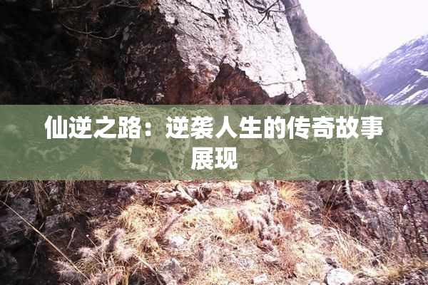 仙逆之路：逆袭人生的传奇故事展现