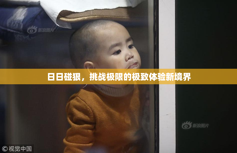 日日碰狠，挑战极限的极致体验新境界