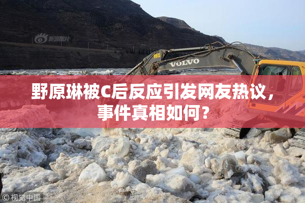 野原琳被C后反应引发网友热议，事件真相如何？