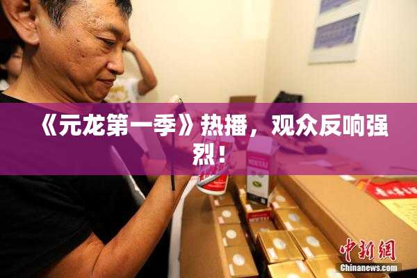 《元龙第一季》热播，观众反响强烈！