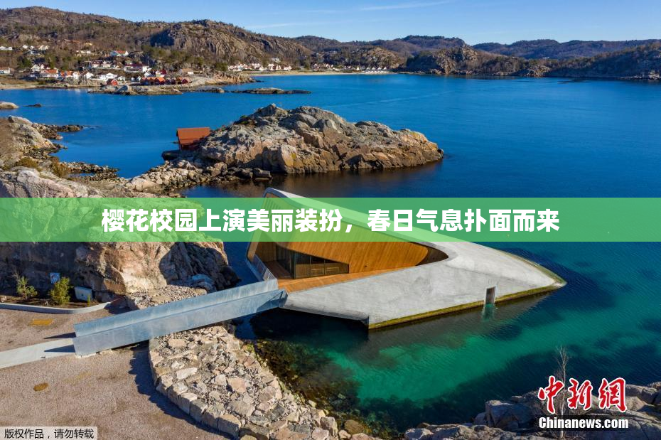 樱花校园上演美丽装扮，春日气息扑面而来