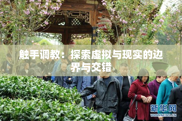 触手调教：探索虚拟与现实的边界与交错