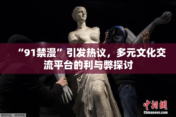 “91禁漫”引发热议，多元文化交流平台的利与弊探讨