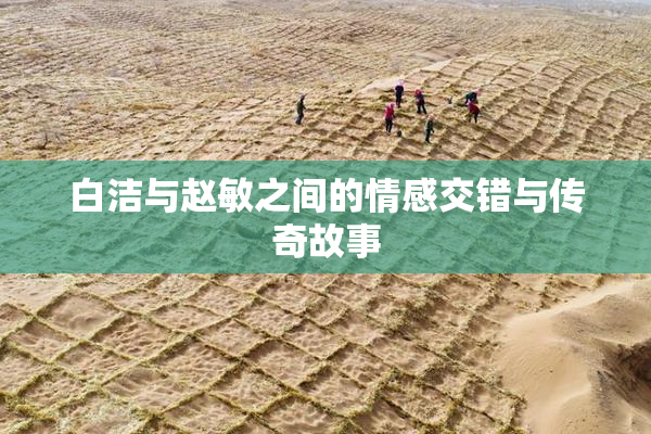 白洁与赵敏之间的情感交错与传奇故事
