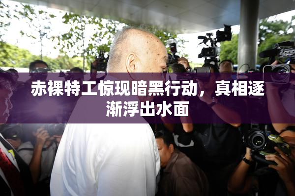 赤裸特工惊现暗黑行动，真相逐渐浮出水面