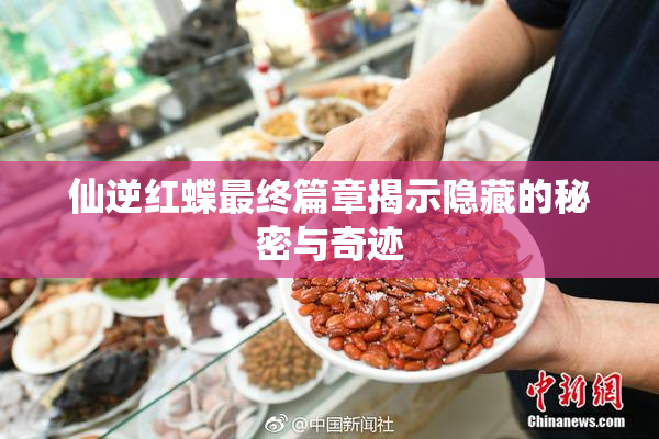 仙逆红蝶最终篇章揭示隐藏的秘密与奇迹