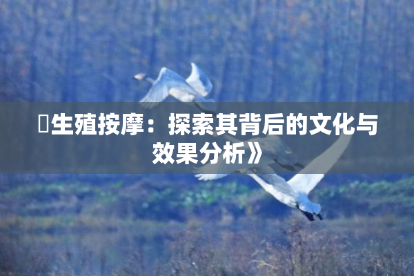 巜生殖按摩：探索其背后的文化与效果分析》