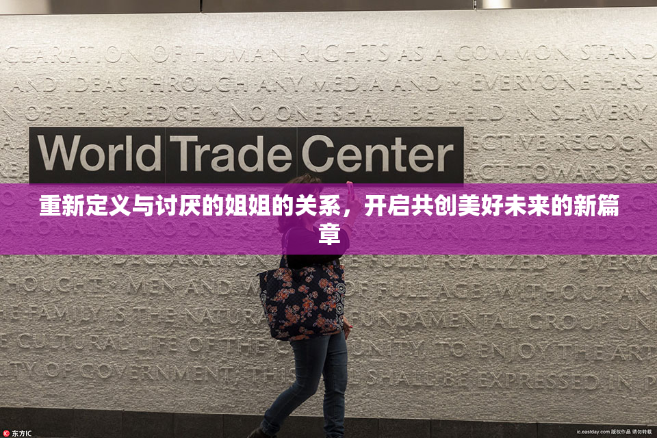 重新定义与讨厌的姐姐的关系，开启共创美好未来的新篇章