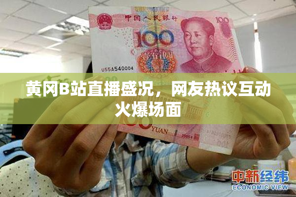 黄冈B站直播盛况，网友热议互动火爆场面