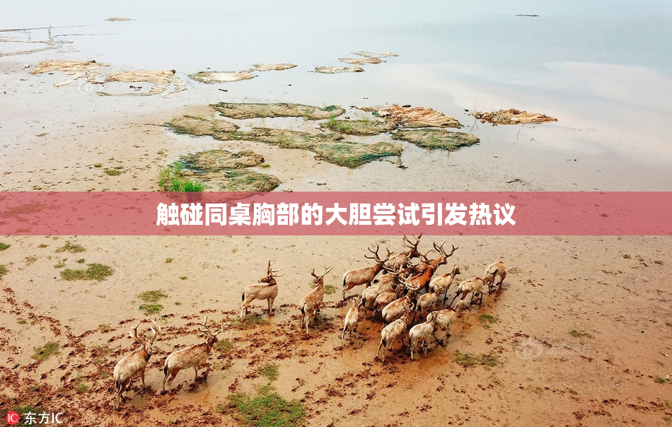 触碰同桌胸部的大胆尝试引发热议