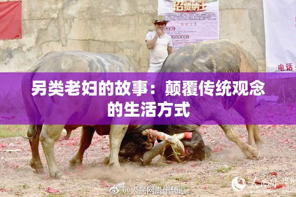 另类老妇的故事：颠覆传统观念的生活方式