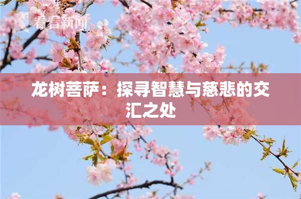 龙树菩萨：探寻智慧与慈悲的交汇之处