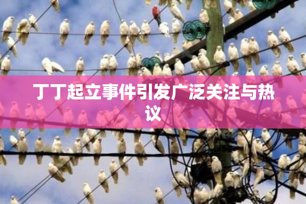 丁丁起立事件引发广泛关注与热议