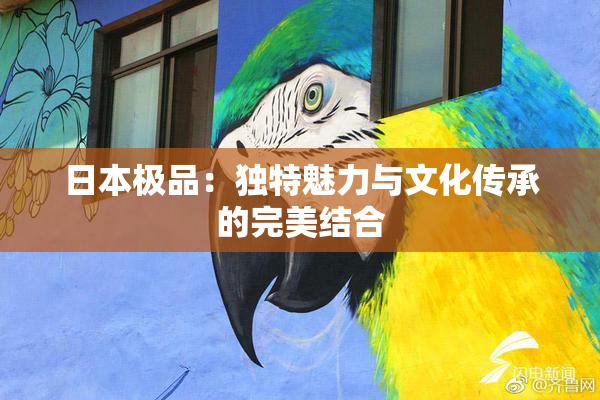 日本极品：独特魅力与文化传承的完美结合