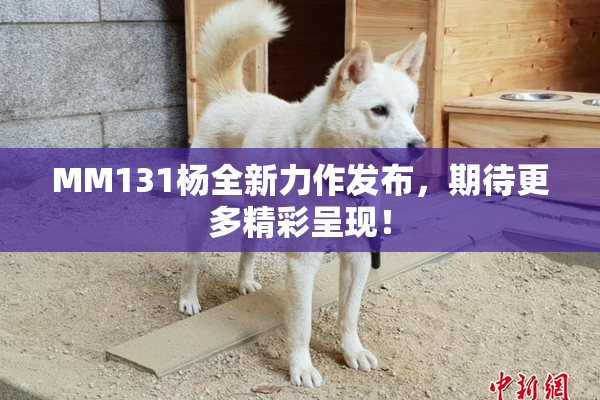 MM131杨全新力作发布，期待更多精彩呈现！