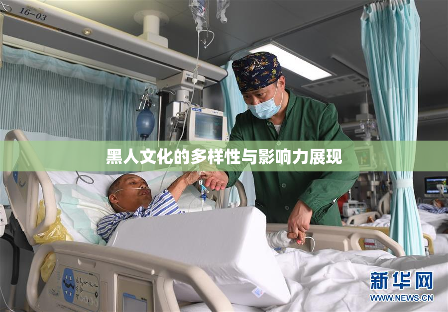 黑人文化的多样性与影响力展现