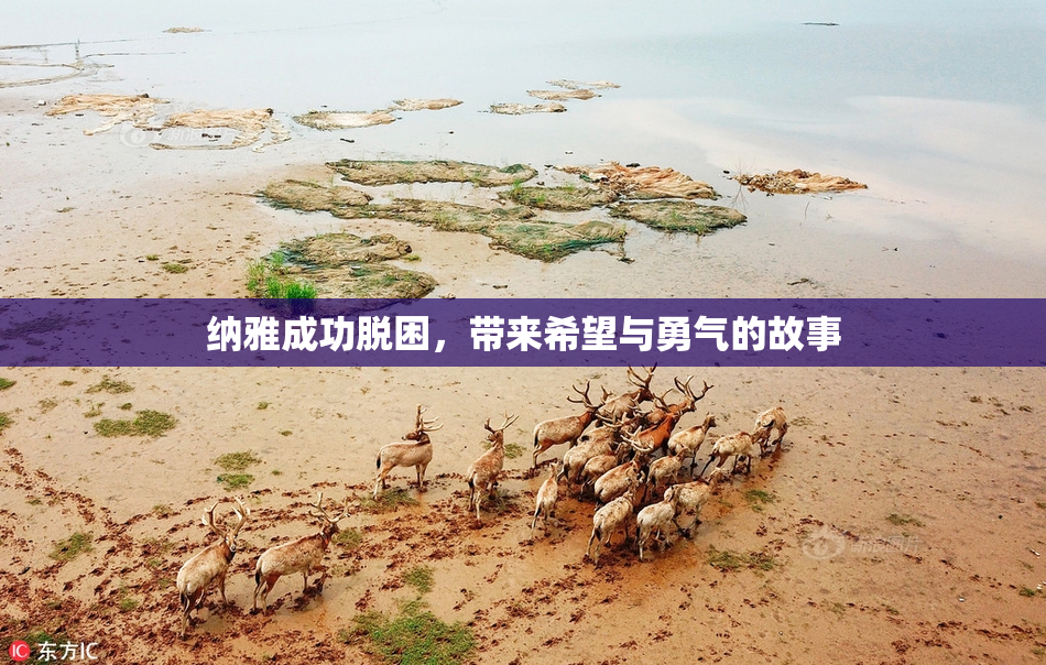 纳雅成功脱困，带来希望与勇气的故事