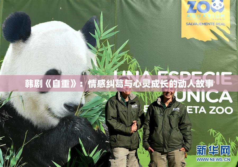 韩剧《自重》：情感纠葛与心灵成长的动人故事