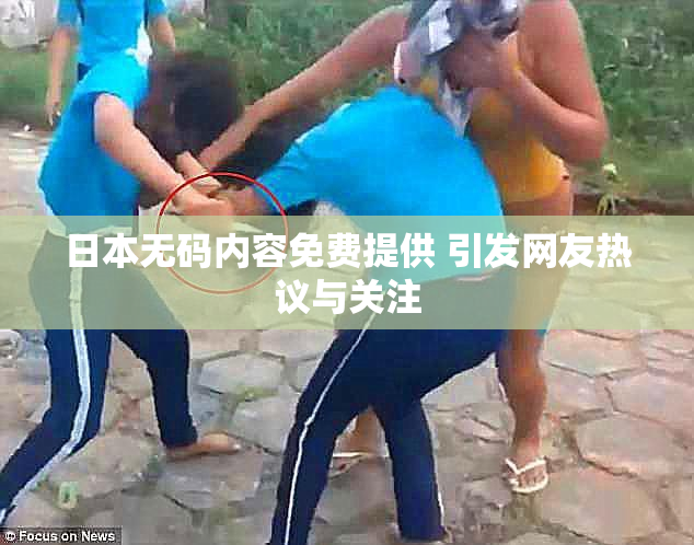 日本无码内容免费提供 引发网友热议与关注