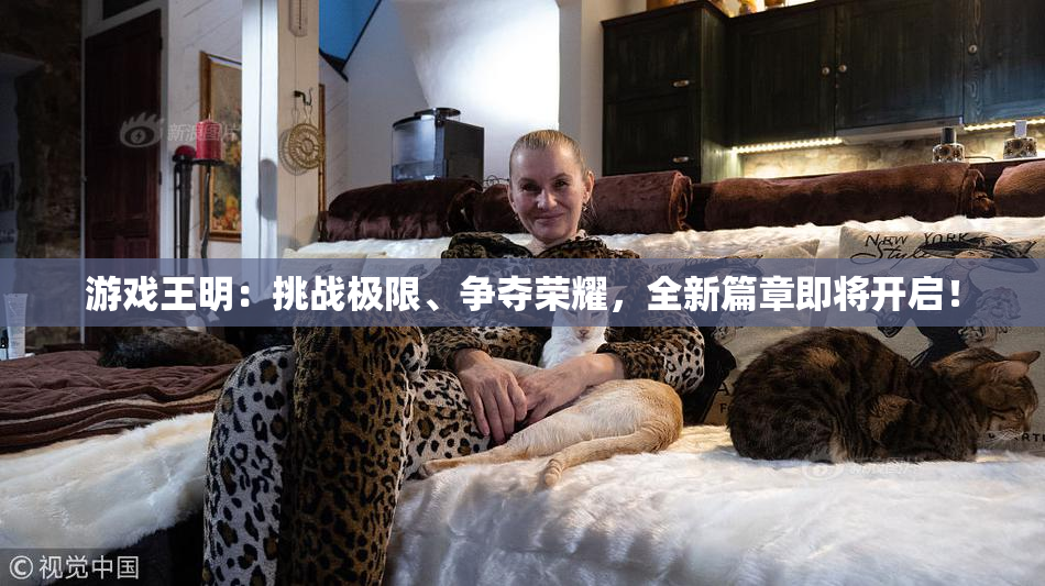 游戏王明：挑战极限、争夺荣耀，全新篇章即将开启！