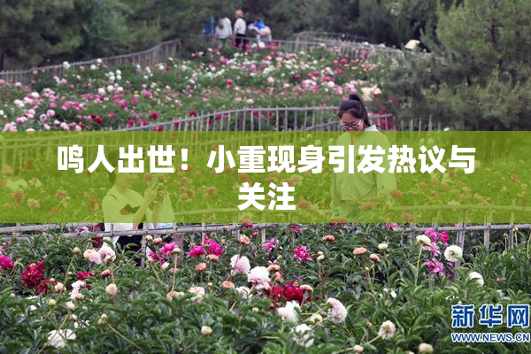 鸣人出世！小重现身引发热议与关注
