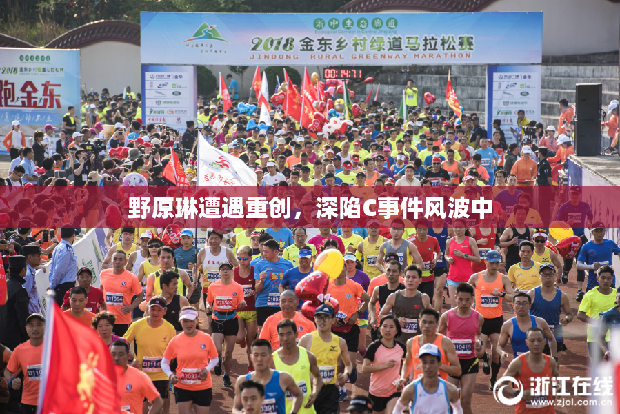 野原琳遭遇重创，深陷C事件风波中