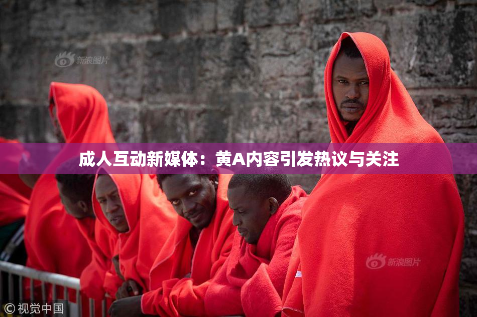 成人互动新媒体：黄A内容引发热议与关注