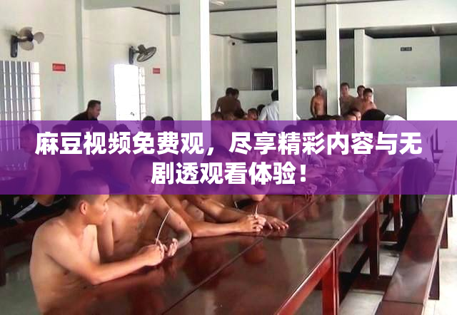 麻豆视频免费观，尽享精彩内容与无剧透观看体验！