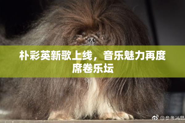 朴彩英新歌上线，音乐魅力再度席卷乐坛