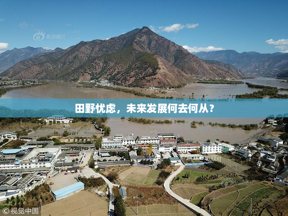 田野忧虑，未来发展何去何从？