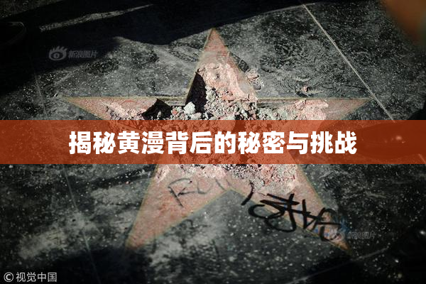 揭秘黄漫背后的秘密与挑战