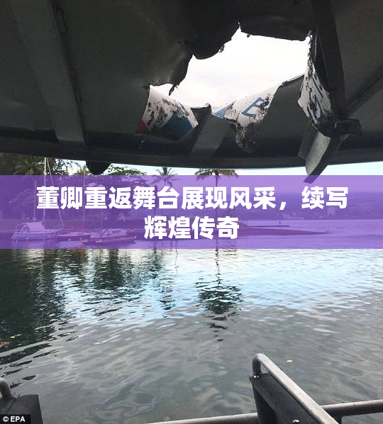 董卿重返舞台展现风采，续写辉煌传奇