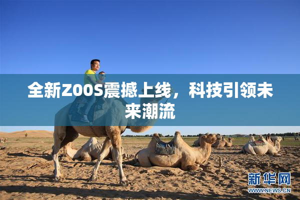 全新Z00S震撼上线，科技引领未来潮流