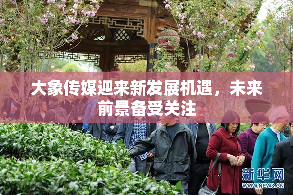 大象传媒迎来新发展机遇，未来前景备受关注