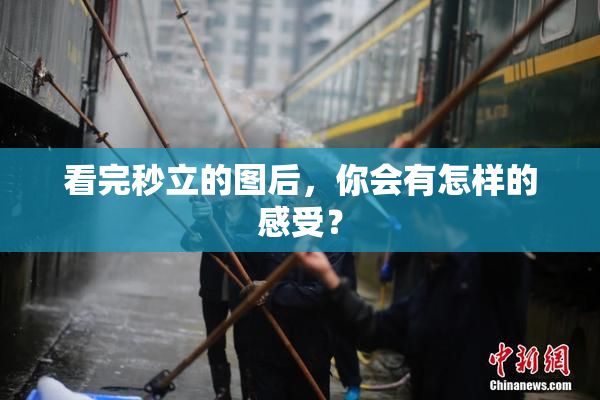 看完秒立的图后，你会有怎样的感受？