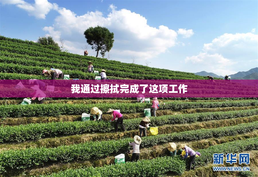 我通过擦拭完成了这项工作