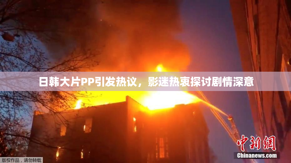 日韩大片PP引发热议，影迷热衷探讨剧情深意