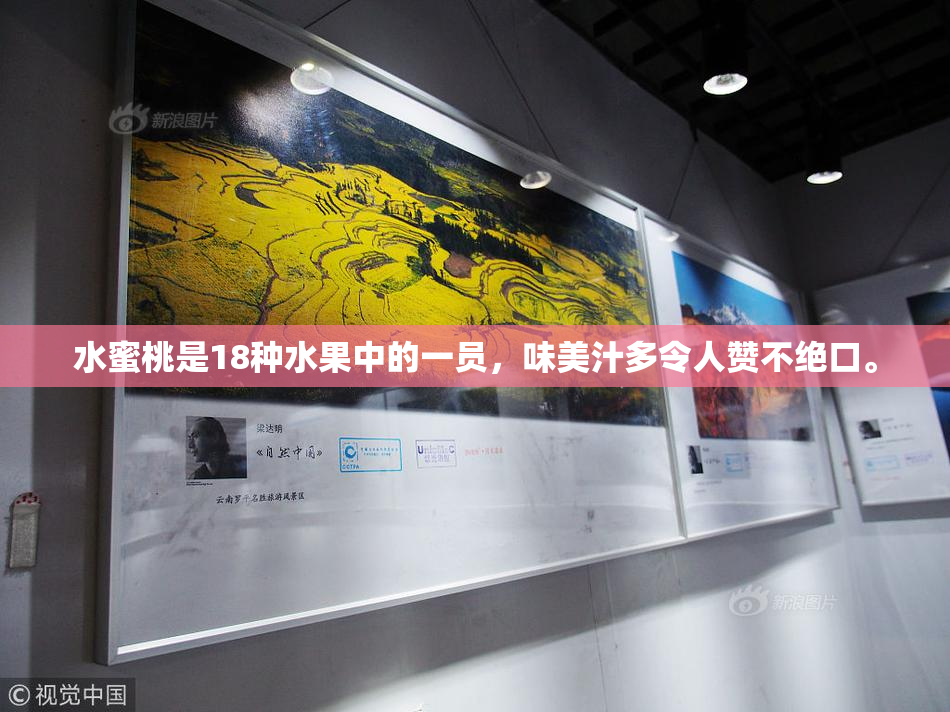 水蜜桃是18种水果中的一员，味美汁多令人赞不绝口。