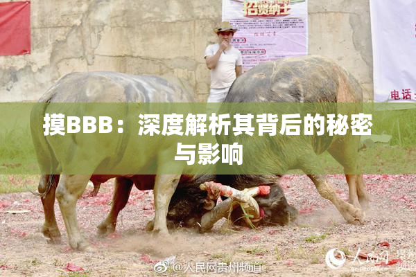 摸BBB：深度解析其背后的秘密与影响