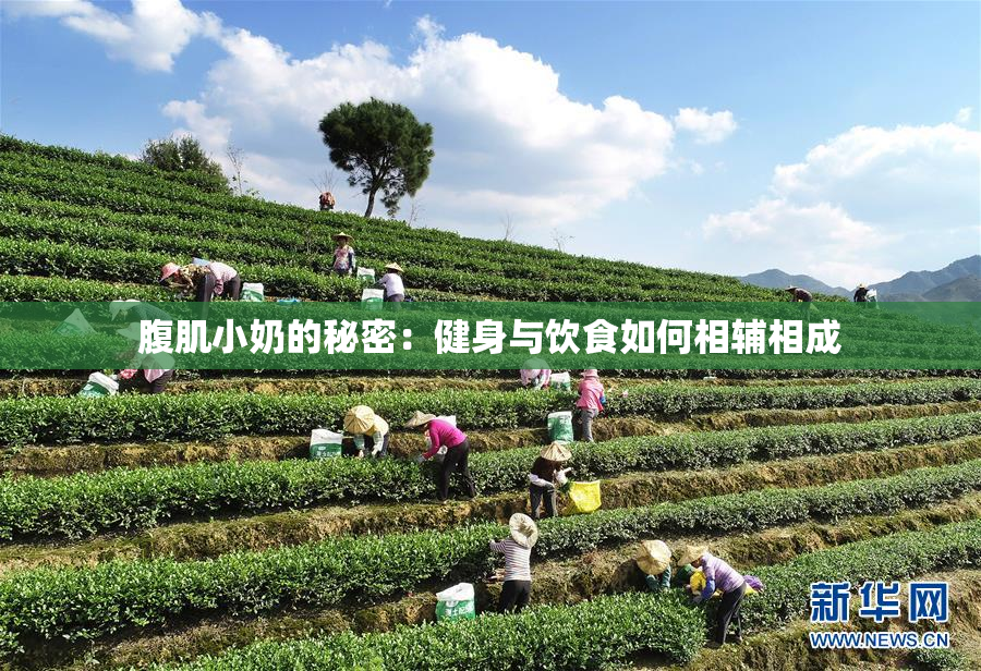 腹肌小奶的秘密：健身与饮食如何相辅相成