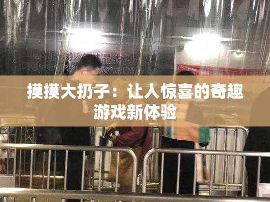 摸摸大扔子：让人惊喜的奇趣游戏新体验