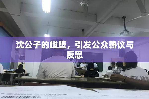 沈公子的雌堕，引发公众热议与反思